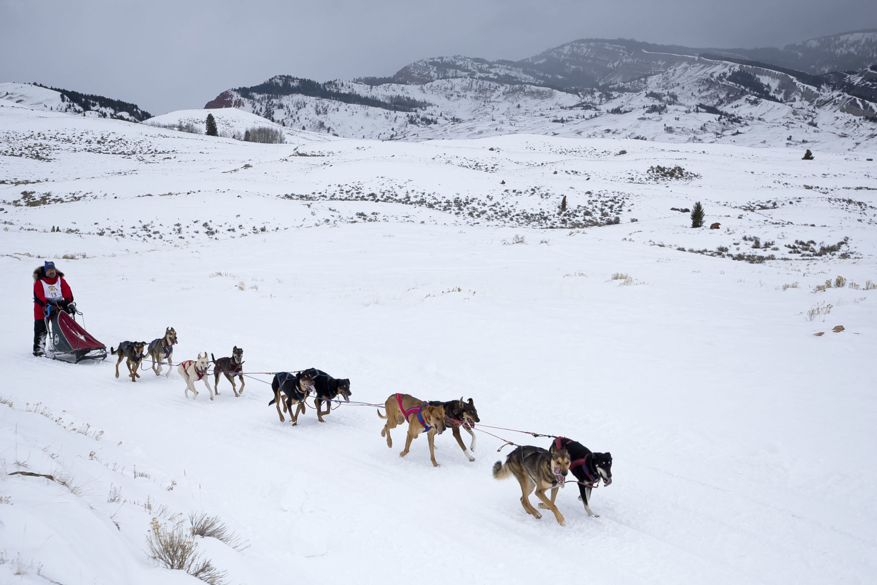 Teton County leg